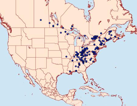 Distribution Data for Colocasia flavicornis