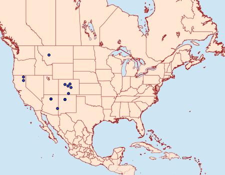 Distribution Data for Amphipoea senilis