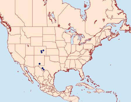 Distribution Data for Eulithosia papago