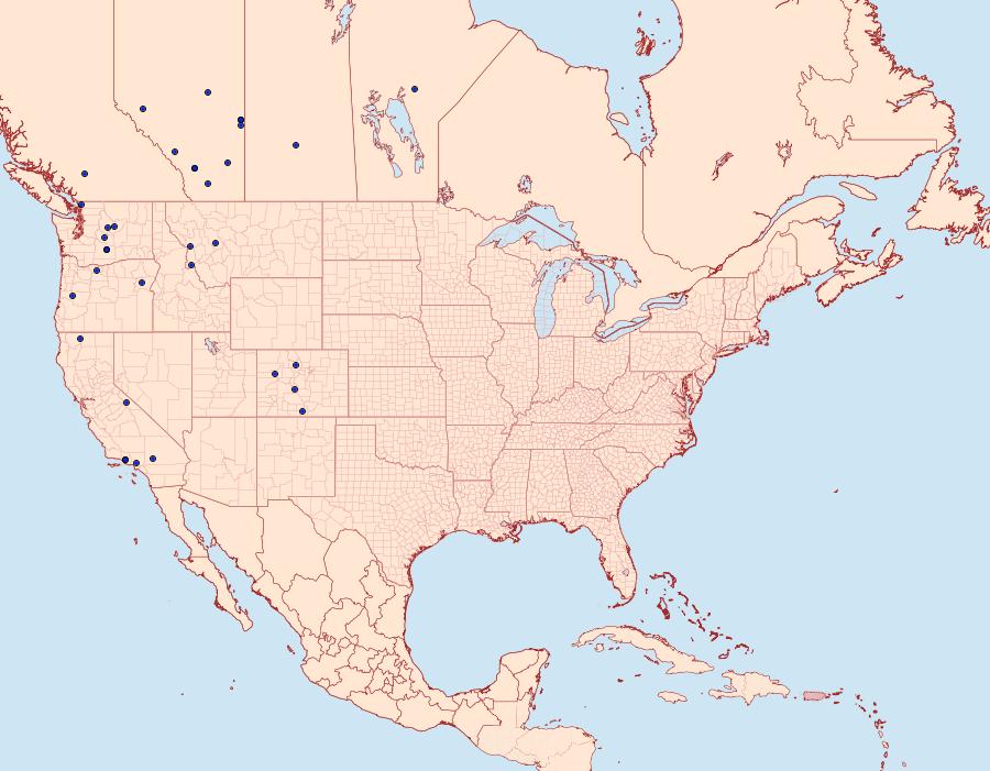 Distribution Data for Sympistis poliochroa