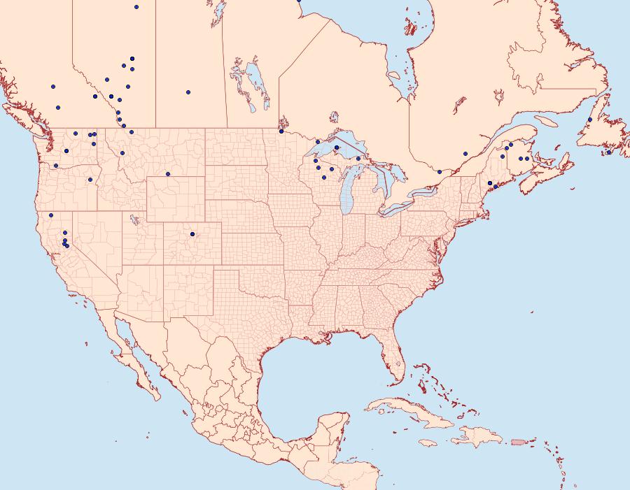 Distribution Data for Lacanobia nevadae