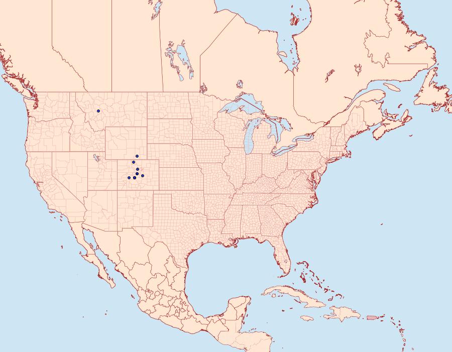 Distribution Data for Lasionycta coloradensis