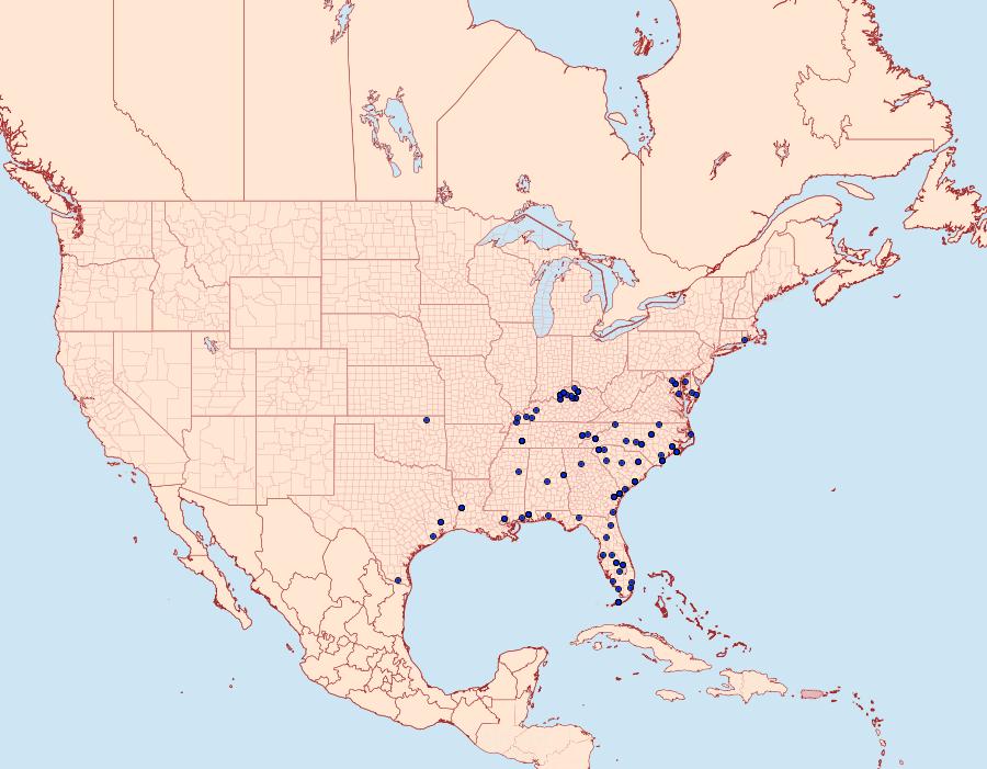 Distribution Data for Leucania scirpicola