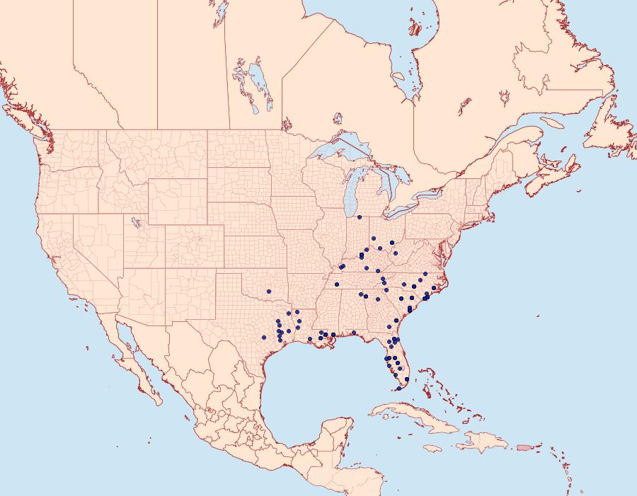 Distribution Data for Anicla lubricans