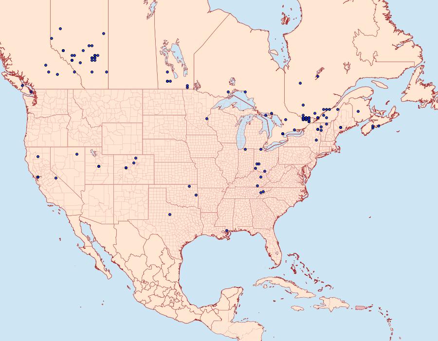 Distribution Data for Coleophora duplicis