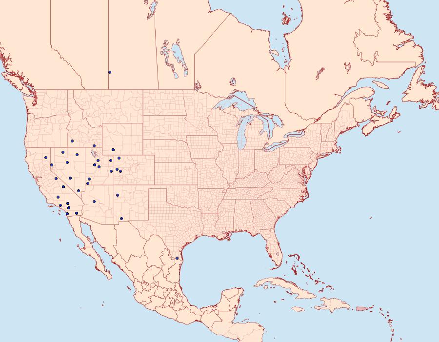 Distribution Data for Chionodes fructuaria