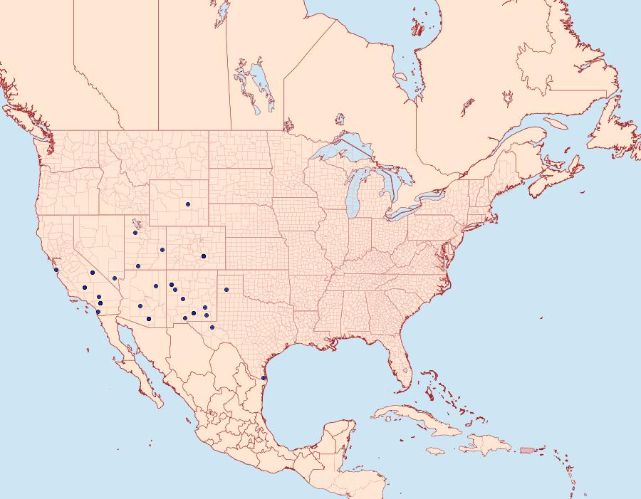 Distribution Data for Chionodes pinguicula