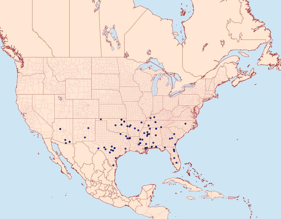 Distribution Data for Acrolophus cressoni