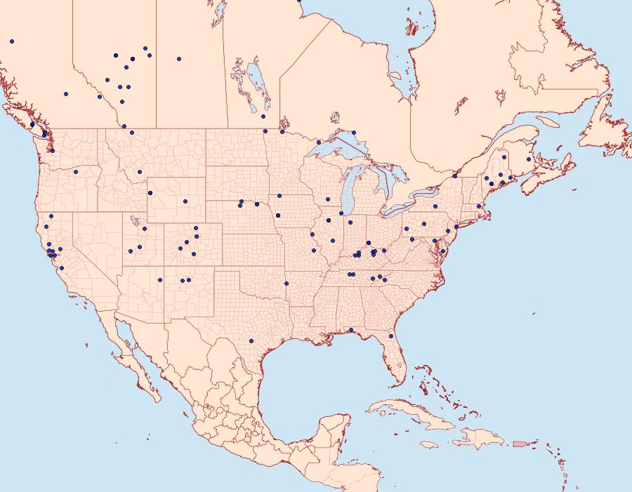 Distribution Data for Acleris albicomana