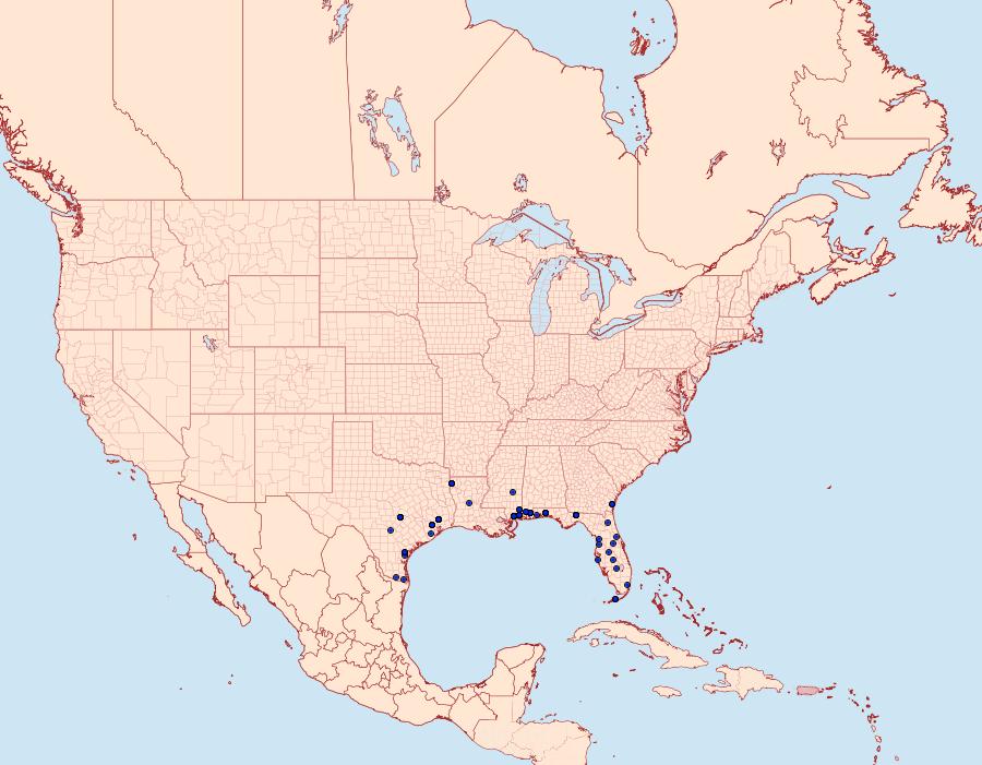 Distribution Data for Acrolophus heppneri