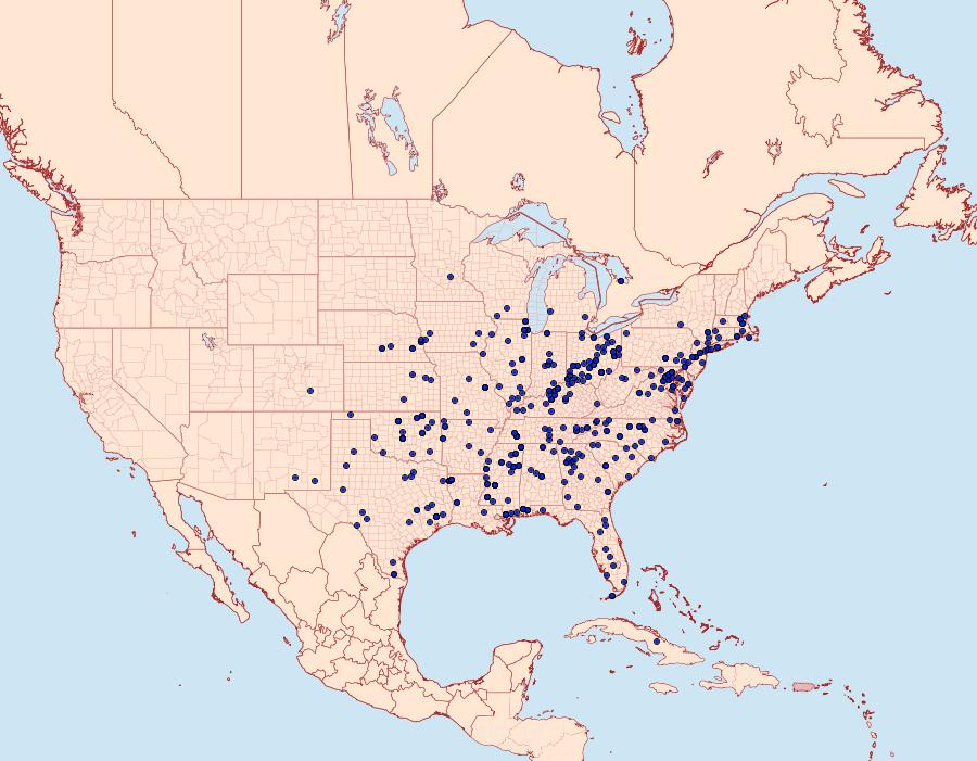 Distribution Data for Acrolophus popeanella