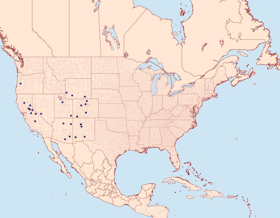 Distribution Data for Thorybes nevada