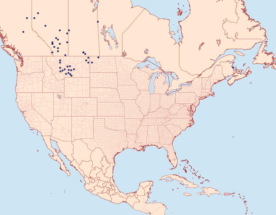 Distribution Data for Hesperia assiniboia