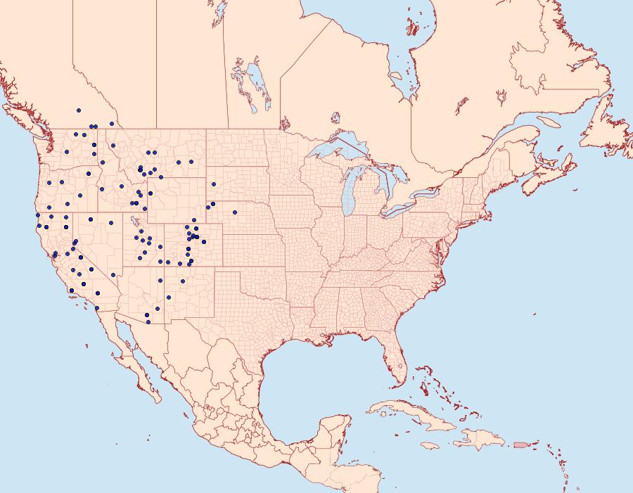 Distribution Data for Hesperia colorado
