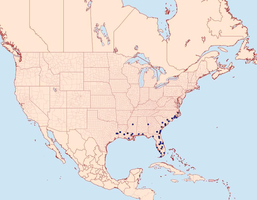 Distribution Data for Oligoria maculata