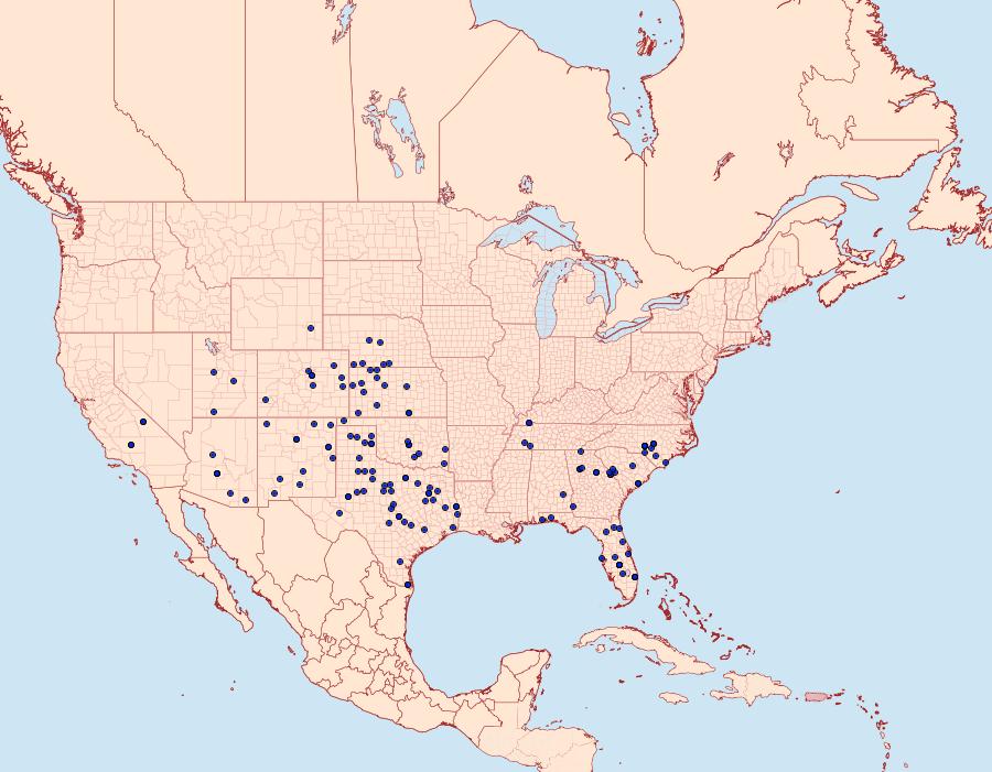 Distribution Data for Megathymus yuccae