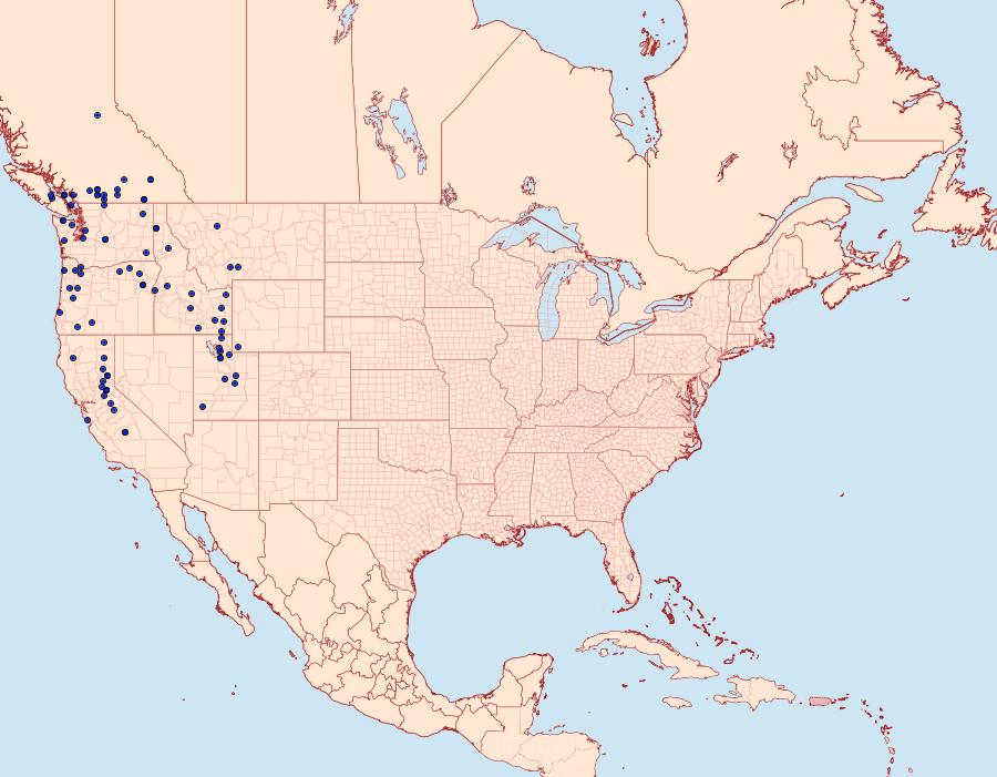 Distribution Data for Parnassius clodius