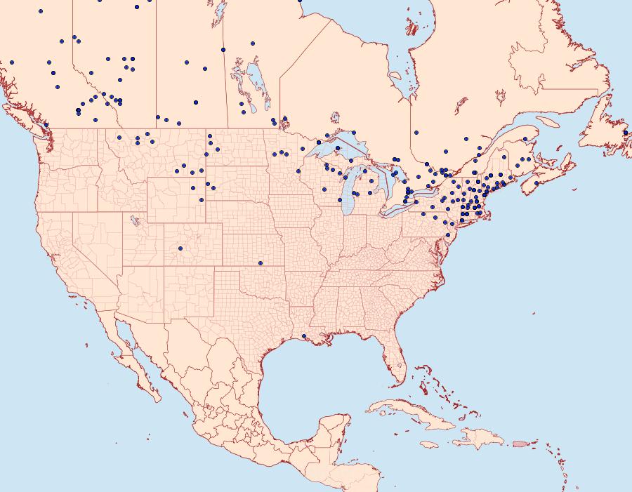Distribution Data for Pterourus canadensis