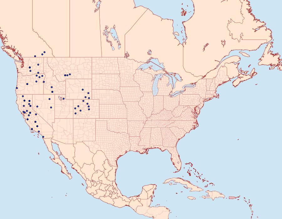 Distribution Data for Satyrium californica