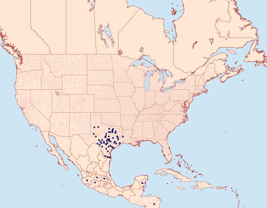 Distribution Data for Calycopis isobeon
