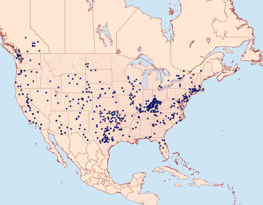 Distribution Data for Callophrys gryneus