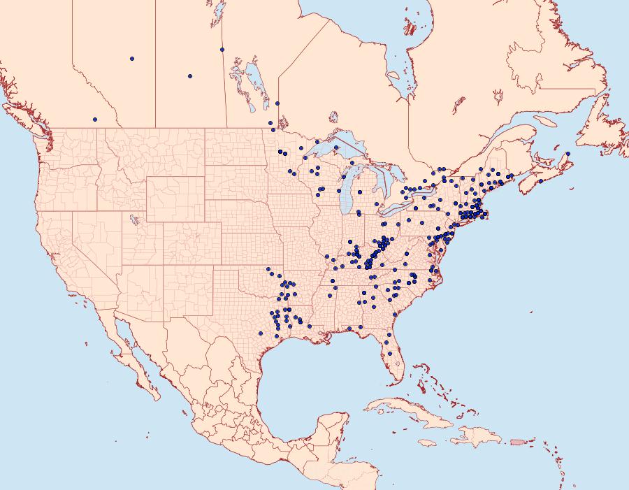Distribution Data for Callophrys niphon