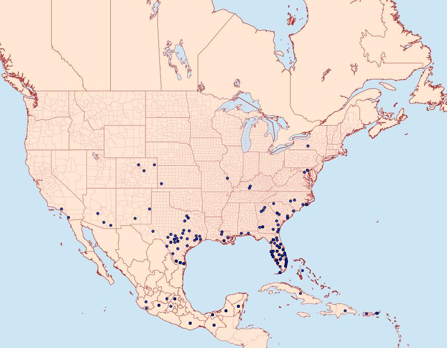 Distribution Data for Heliconius charithonia