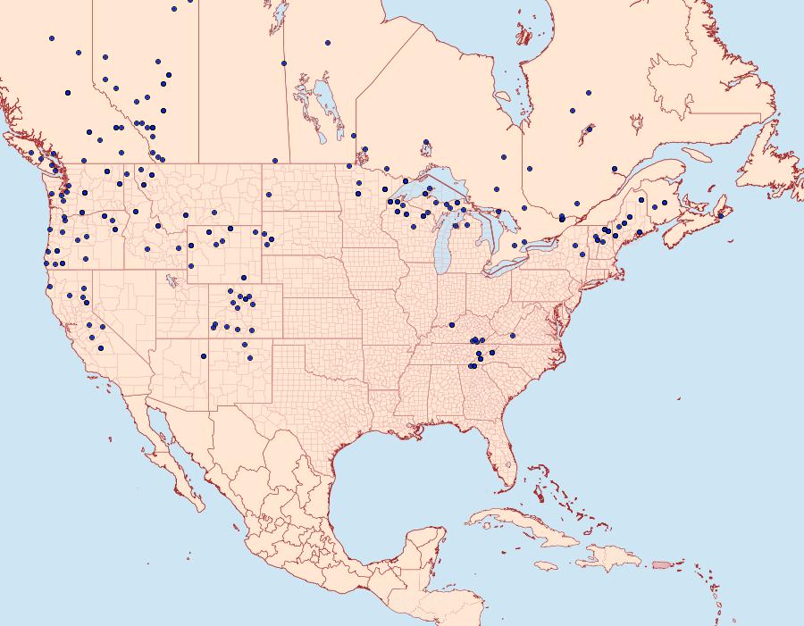 Distribution Data for Polygonia faunus