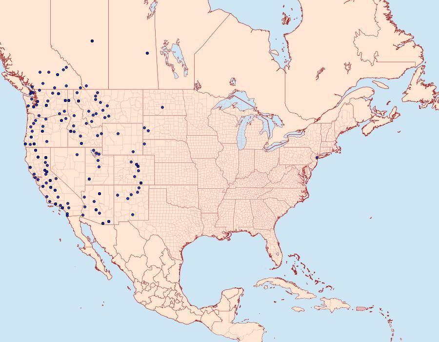 Distribution Data for Nymphalis californica