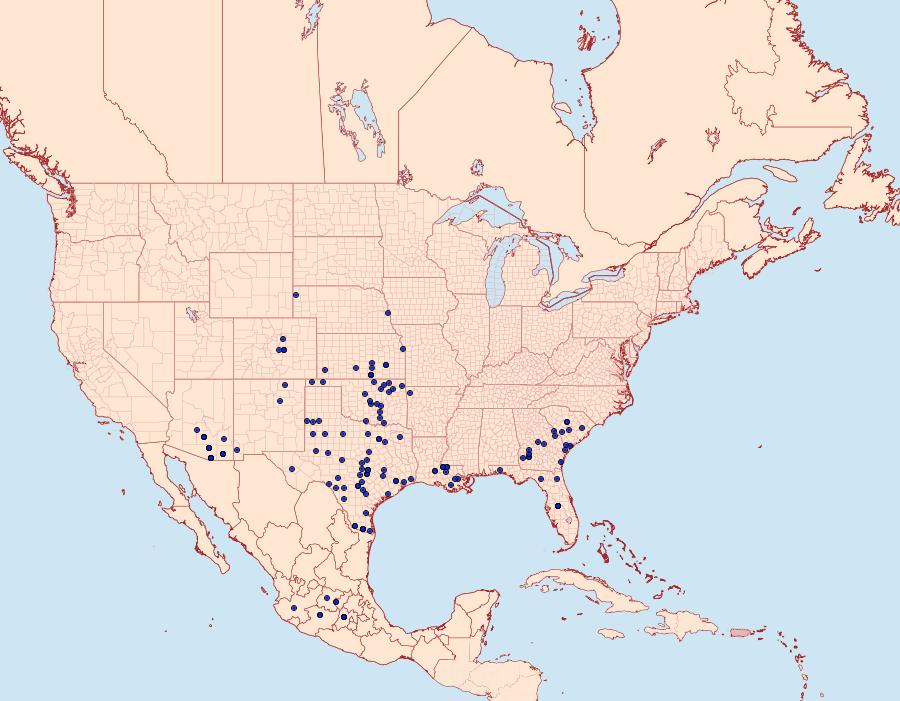 Distribution Data for Anthanassa texana