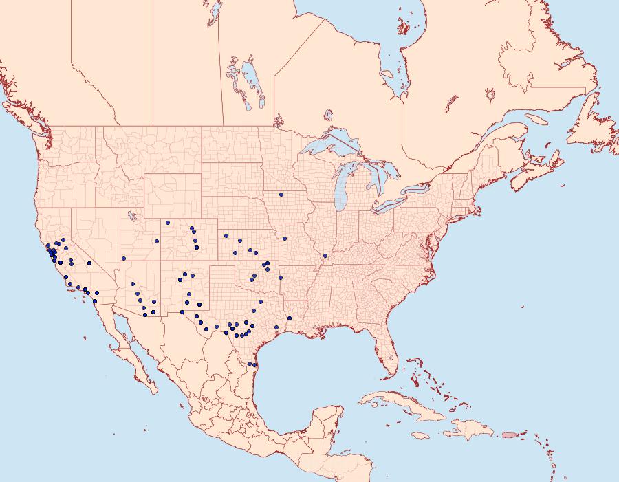 Distribution Data for Pyrausta volupialis