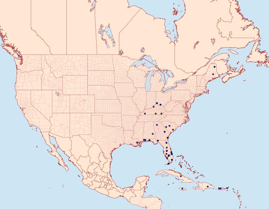 Distribution Data for Pyrausta phoenicealis