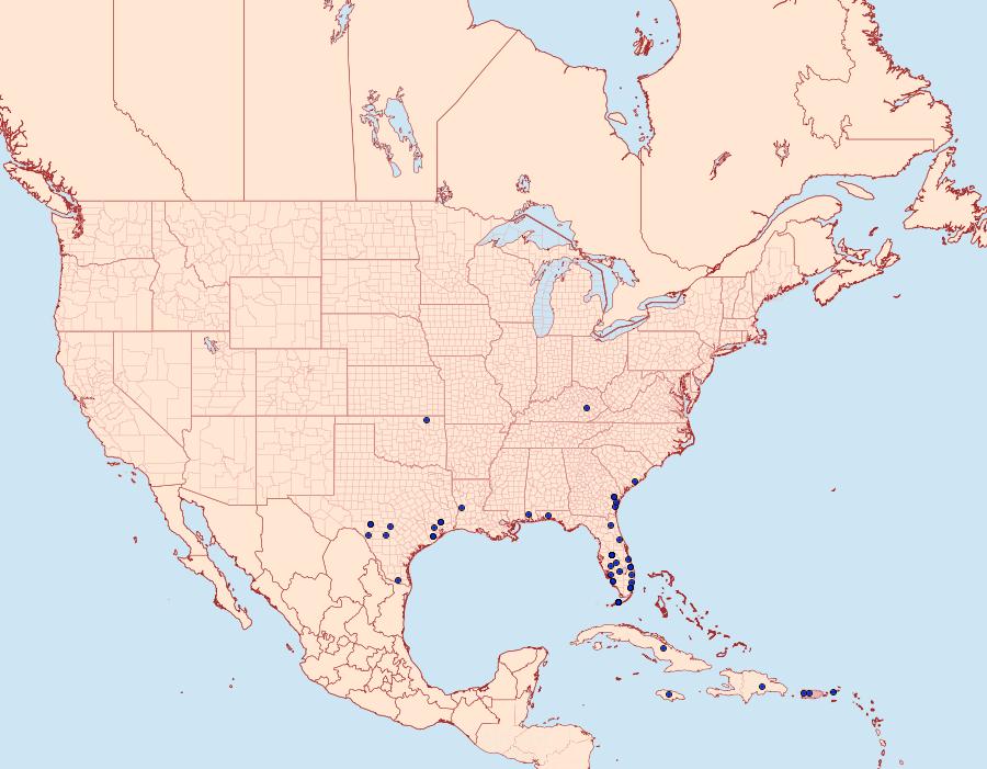 Distribution Data for Omiodes indicata