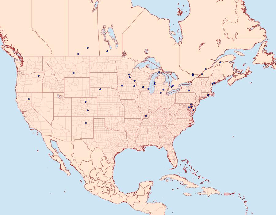 Distribution Data for Acentria ephemerella