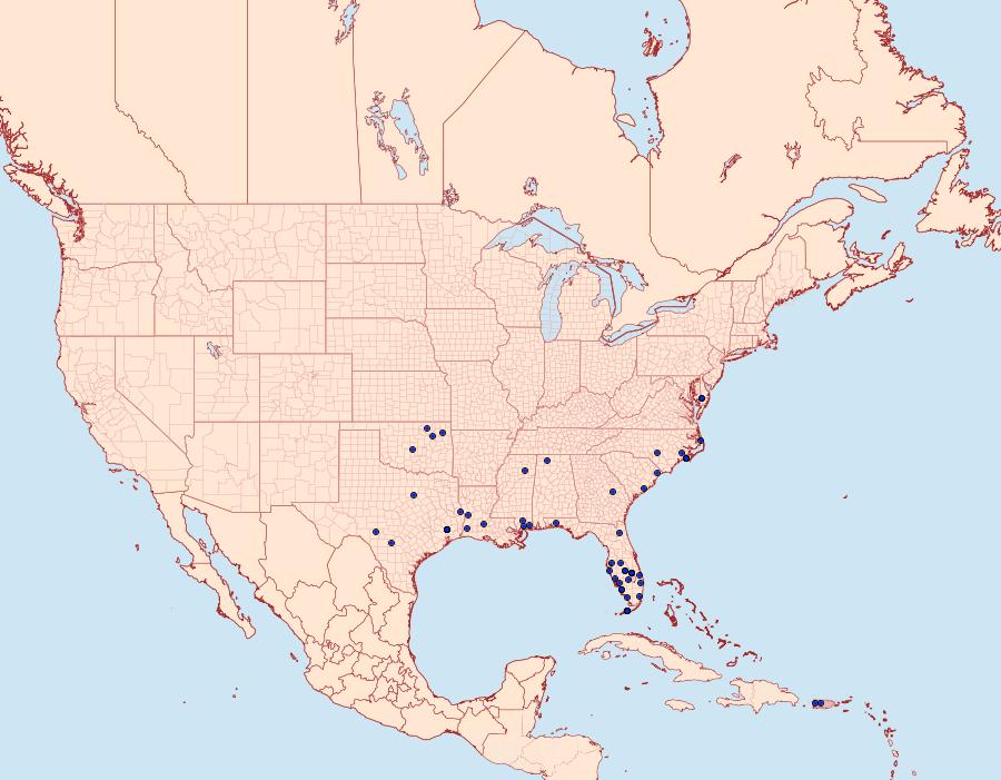 Distribution Data for Crambus quinquareatus