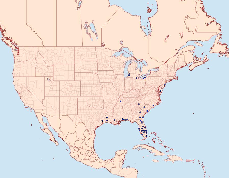 Distribution Data for Crambus satrapellus