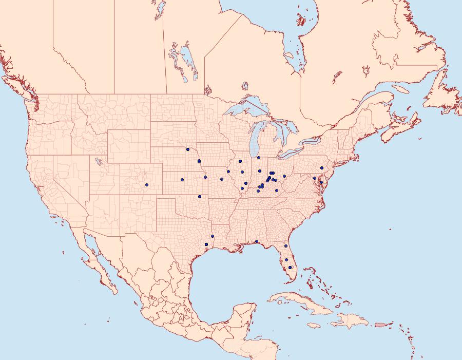 Distribution Data for Pococera humerella