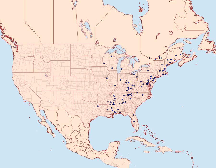 Distribution Data for Caloptilia bimaculatella