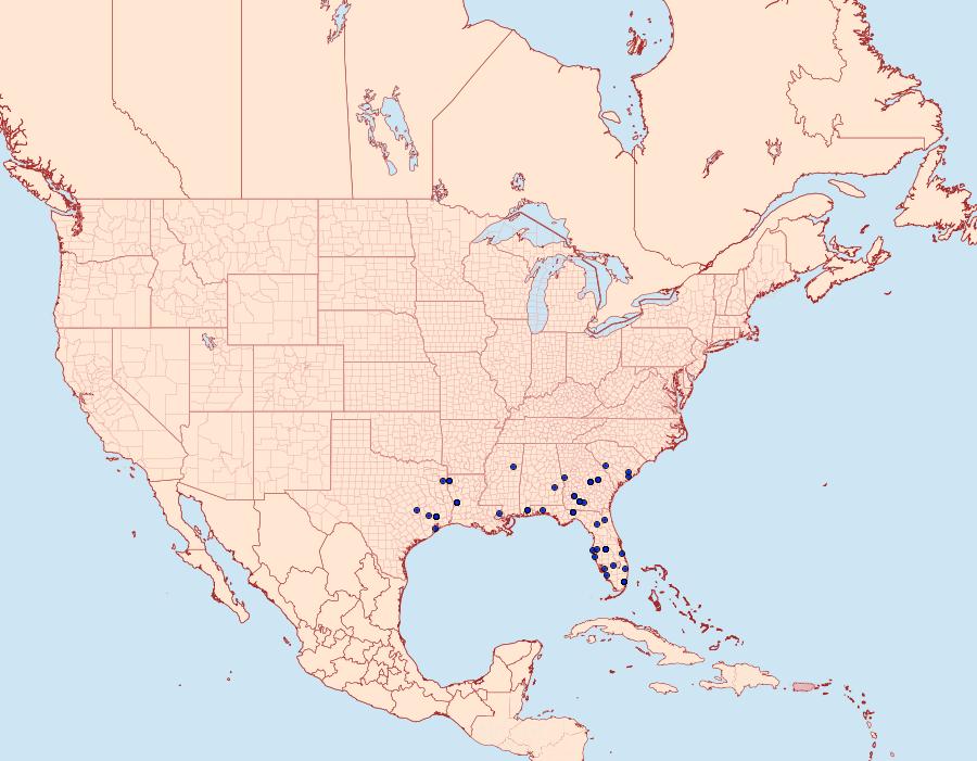 Distribution Data for Scopula lautaria