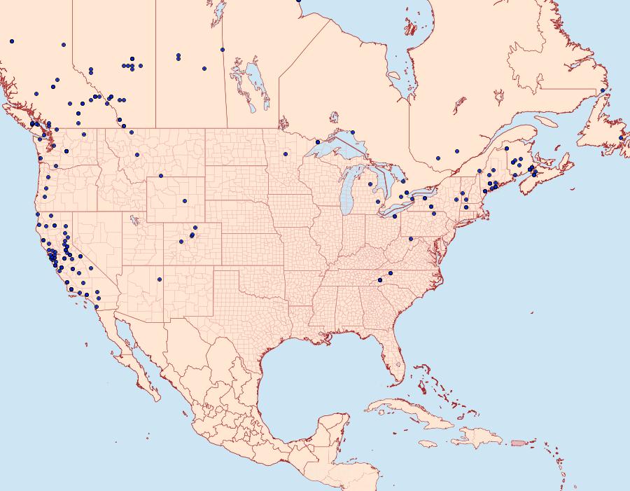 Distribution Data for Spargania magnoliata
