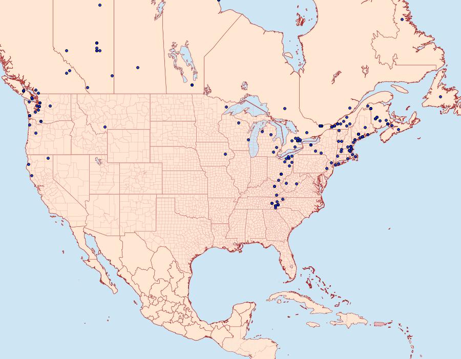 Distribution Data for Xanthorhoe labradorensis