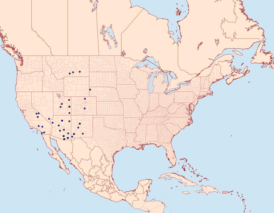 Distribution Data for Gloveria arizonensis