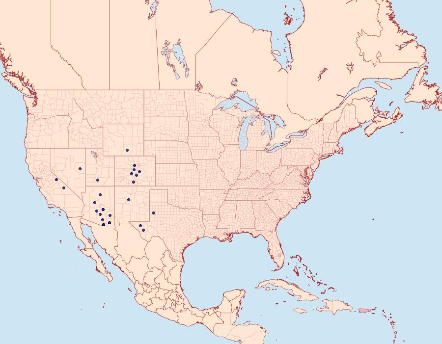 Distribution Data for Sphinx asellus