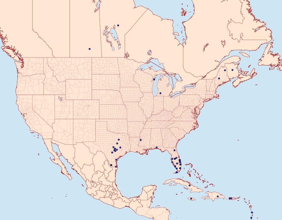 Distribution Data for Eumorpha labruscae