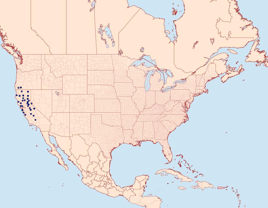 Distribution Data for Gnophaela latipennis