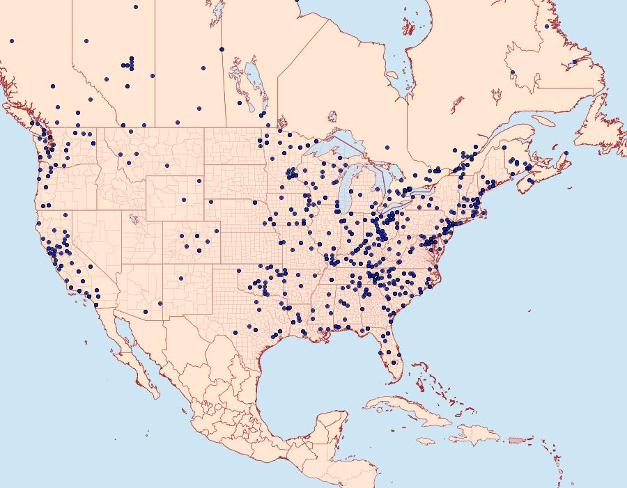 Distribution Data for Idia americalis