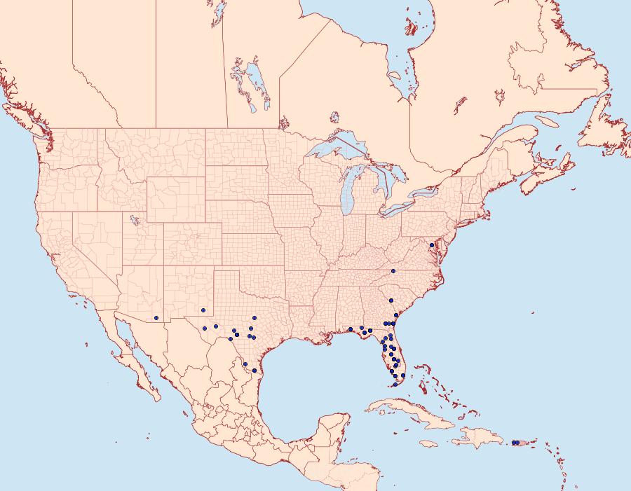 Distribution Data for Hypenula cacuminalis