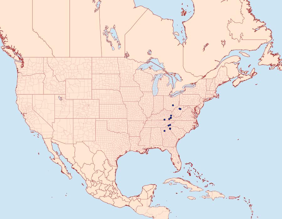 Distribution Data for Hypena appalachiensis