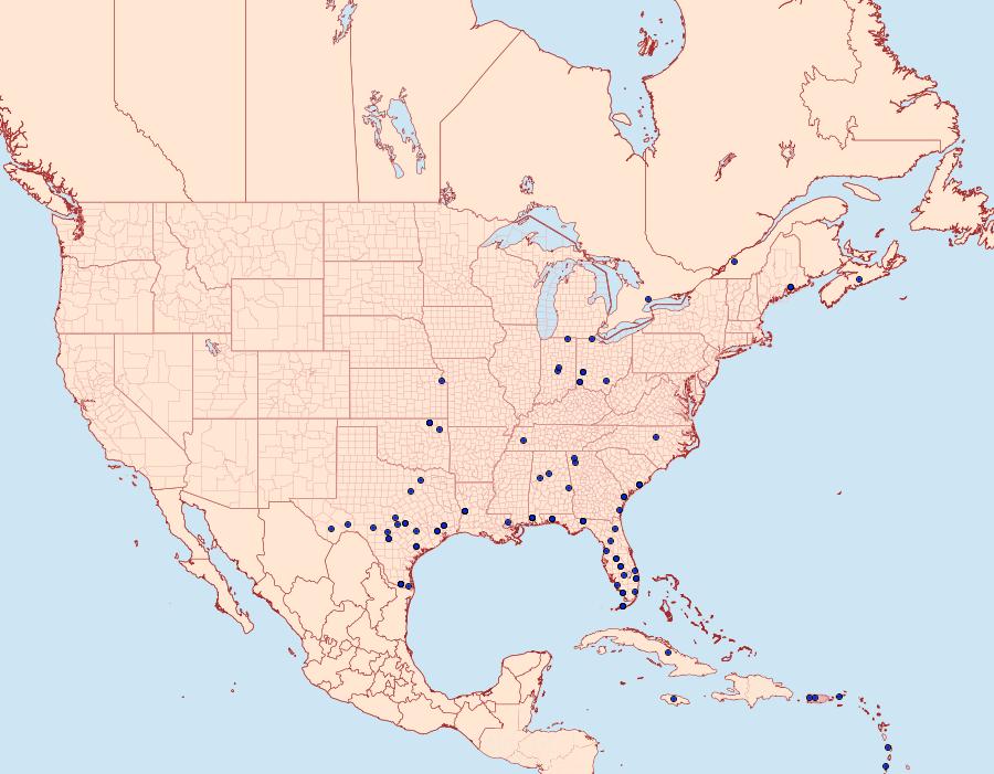 Distribution Data for Hypena minualis