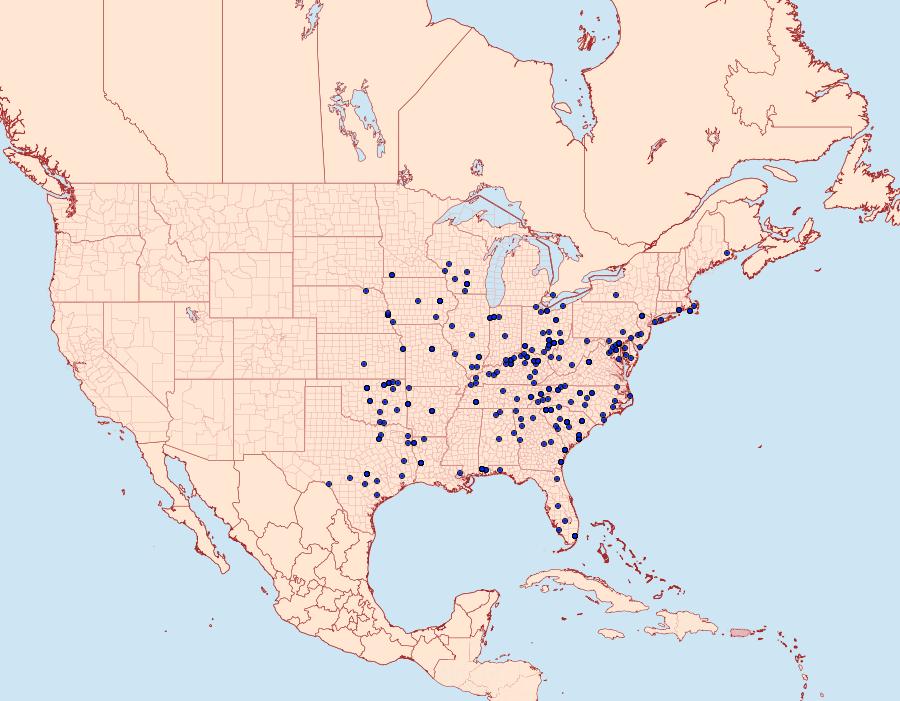 Distribution Data for Mocis texana